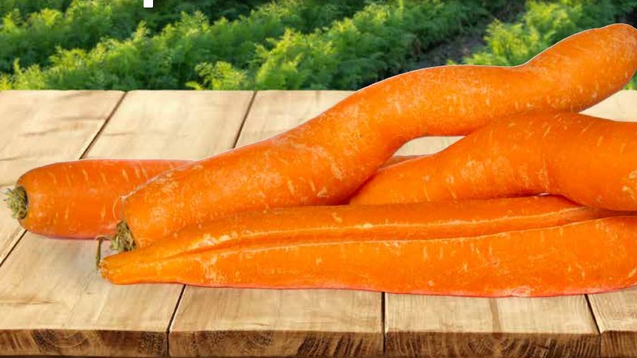 Tak prezentują się "krzywe marchewki" z Lidla