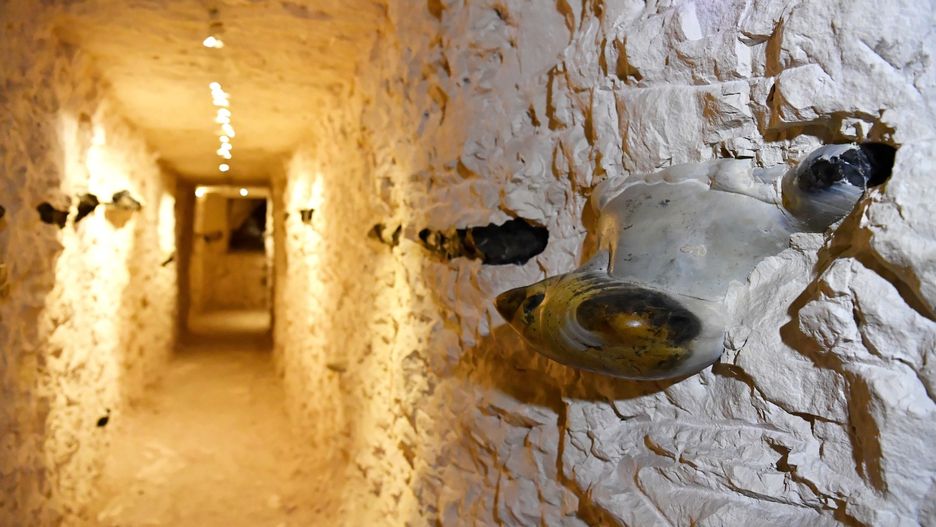 Trasa w Krzemionkach jest niezwykła