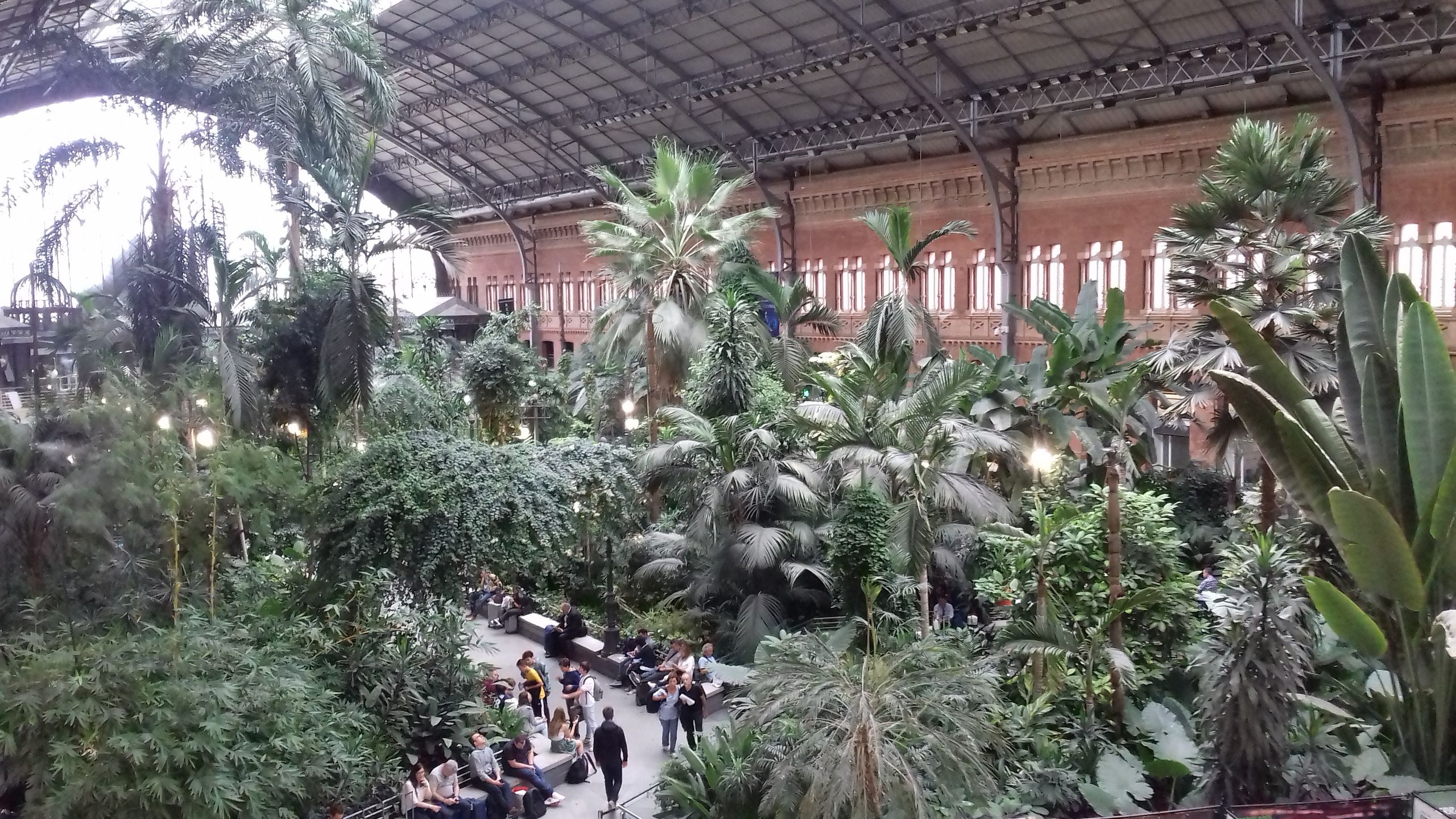 Hol w dworcu Atocha przypomina ogród botaniczny 