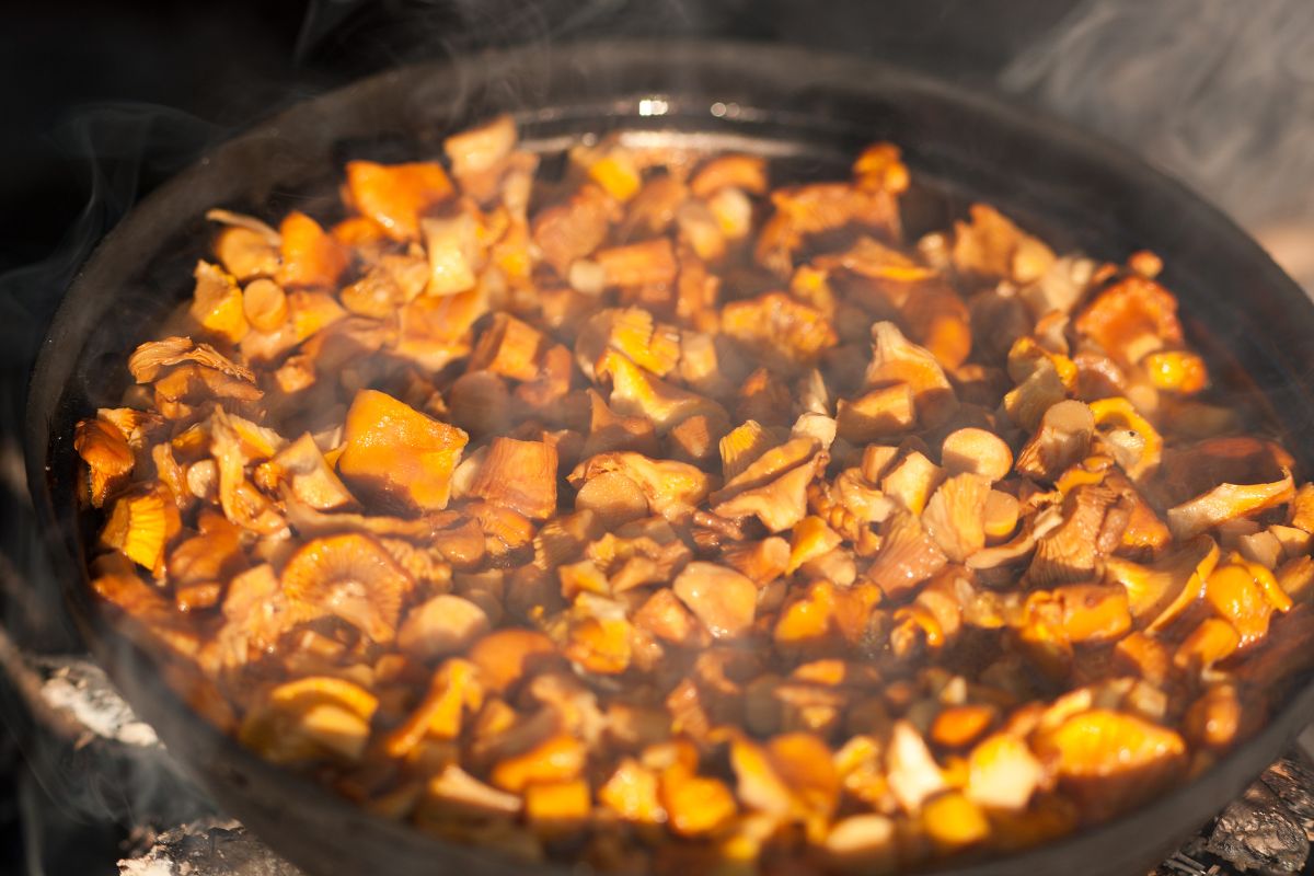 How to fry chanterelles?