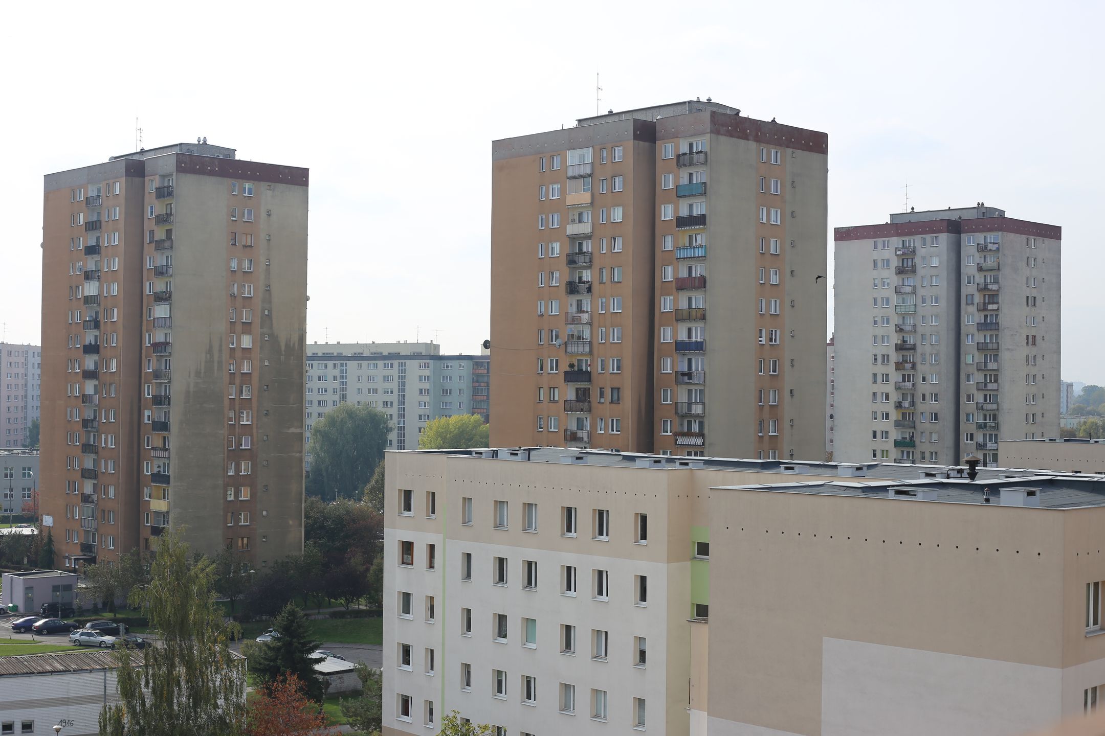 Canon EF 50 mm f/1.8 STM - niedroga przepustka do poważnej fotografii [recenzja] 66