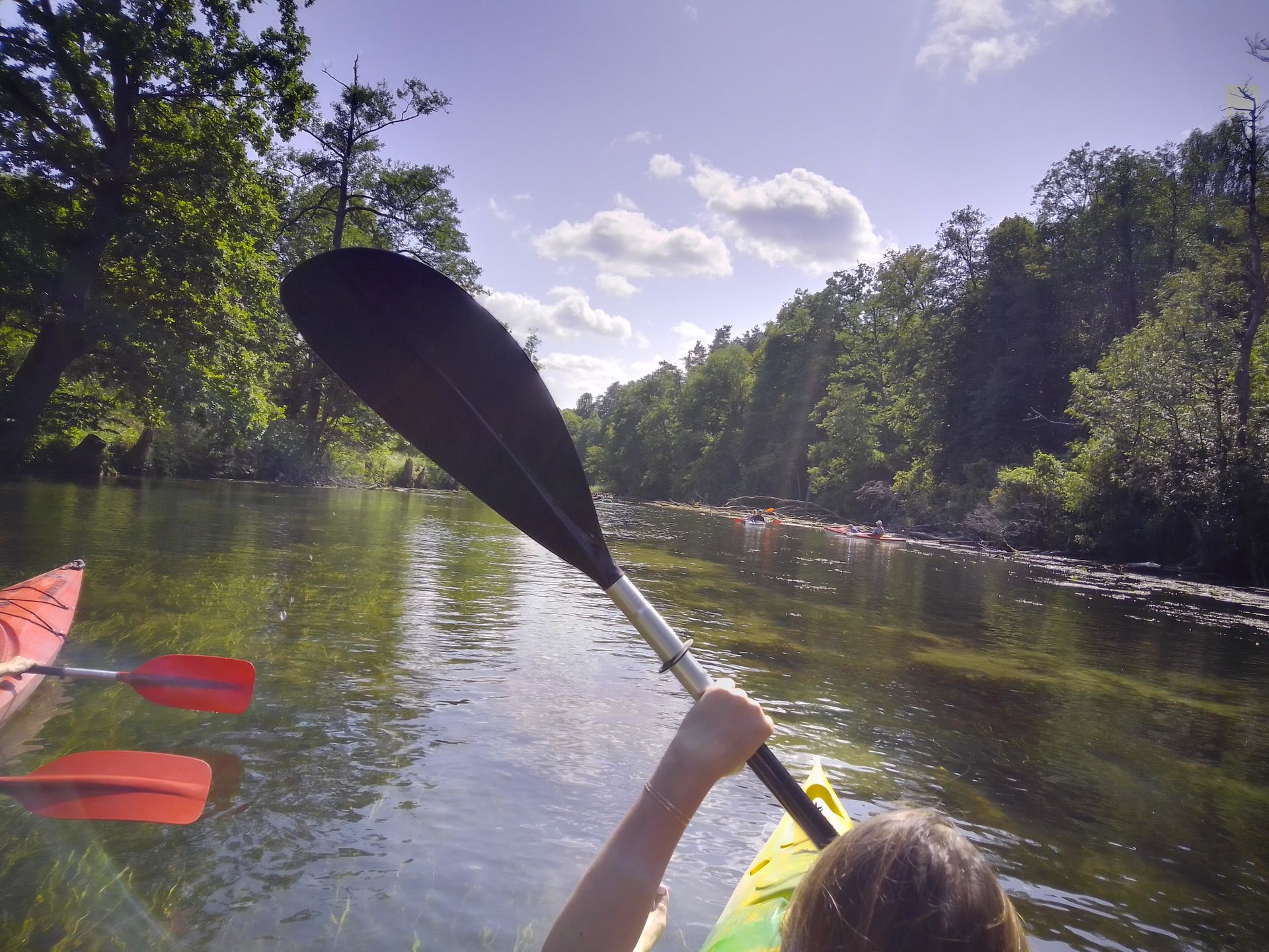 MyPhone Pocket Pro. Genialny smartfon za 500 zł, który zaskoczył mnie... wszystkim 13