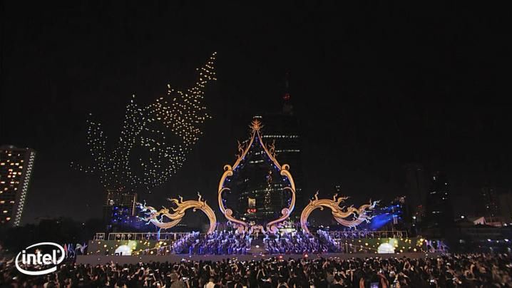 Będą liczyć zmarłe w sylwestra ptaki. Cierpienie zwierząt od dawna może powstrzymać technologia 1