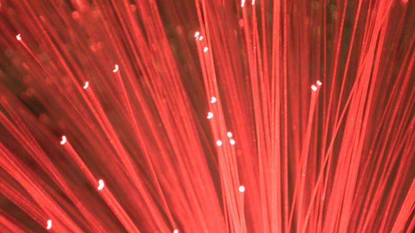 Kolejna awaria systemu Pekao24.pl. Robotnik uszkodził światłowód 1