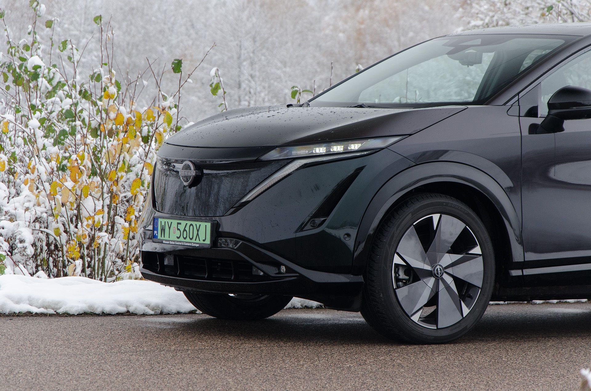 Nissan Ariya