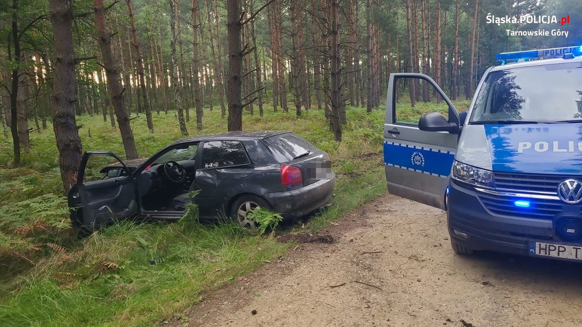 Pościg zakończył się dla 40-latka na drzewie