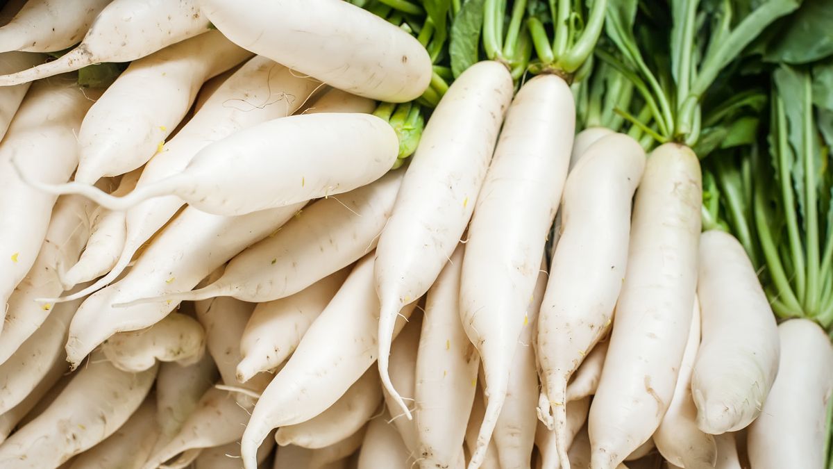 Biała rzodkiew