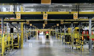 Praca ponad siły w polskim Amazonie? PIP podjęła temat, ale są wątpliwości