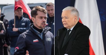 "Co za błazenada". Ostra reakcja na słowa Kaczyńskiego