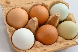 Niebezpieczne jaja z Biedronki wycofane ze sprzedaży