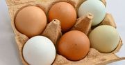 Na polskim rynku nie ma jaj zakażonych salmonellą
