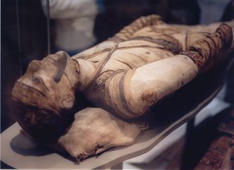 Zbadali 137 mumii. Odkryli u nich ślady...