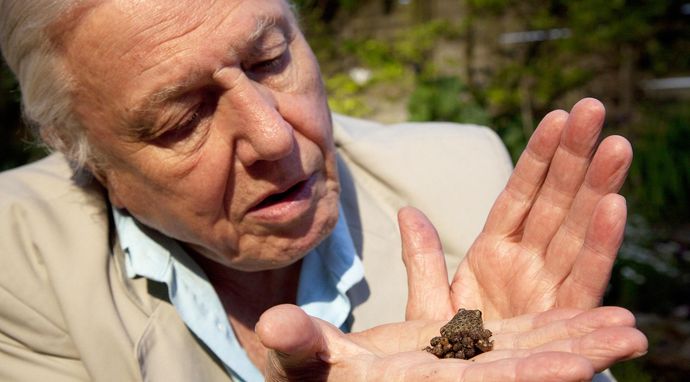 David Attenborough i cuda natury