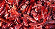 Naukowcy zidentyfikowali substancje w papryczkach chili tłumiące ich ostrość