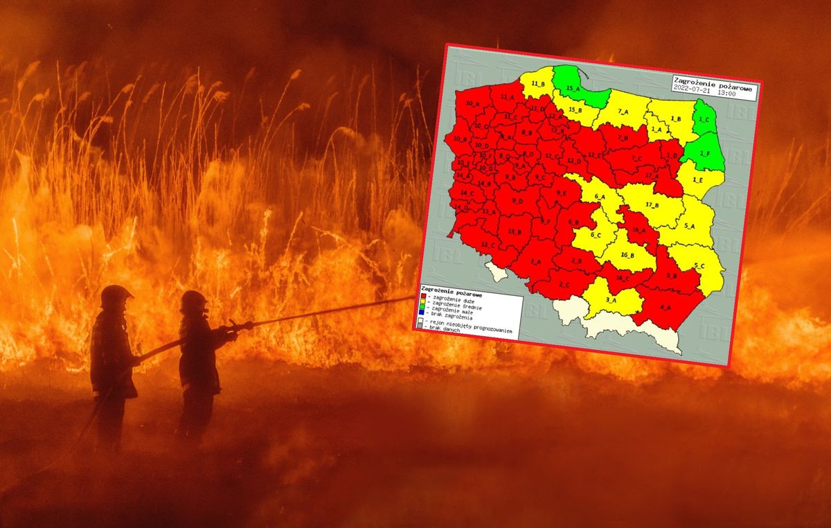 Zagrożenie pożarami lasów jest duże na 2/3 obszaru Polski