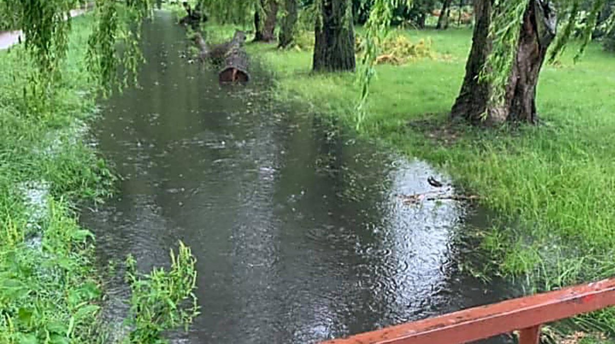 Warszawa: Zapomniana rzeka. Czy Potok Bielański da się uratować?