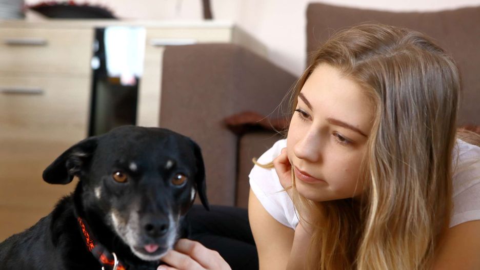 Warczenie podczas głaskania w jednym miejscu może świadczyć o bólu