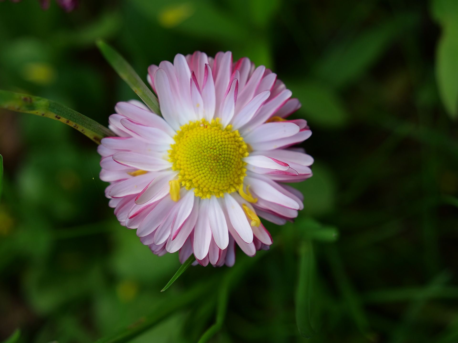 Panasonic Lumix GH5 - Mikro Cztery Trzecie z profesjonalnym zacięciem [test] 78