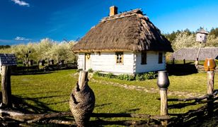 Wsi nowoczesna, wsi postępowa. Polacy zmieniają myślenie o rolnikach