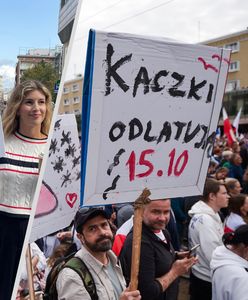 Kpili z PiS. Takie transparenty pojawiły się na Marszu Miliona Serc