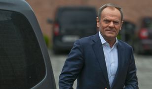 Tusk wbija szpilę rządzącym ws. zboża. "Ostrzegałem"