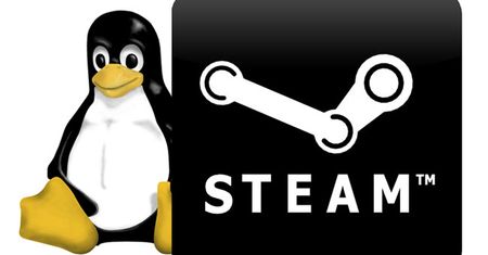 Gwiazdkowy prezent dla użytkowników Linuksa: beta serwisu Steam dostępna dla wszystkich