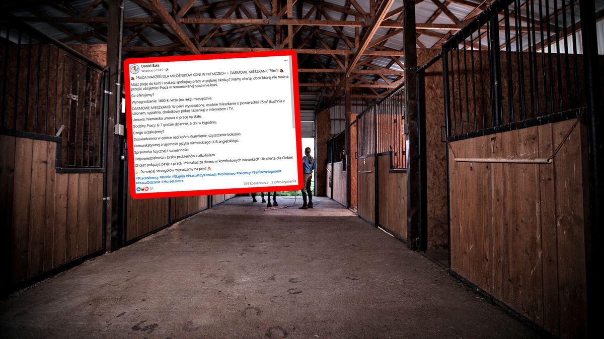 Oferta pracy z Niemiec. Co na to Polacy?