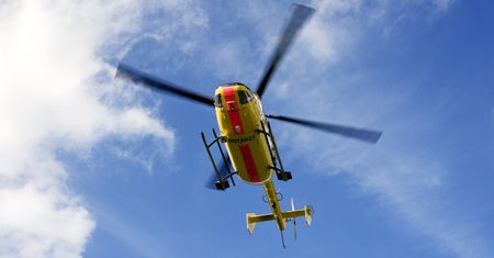 Dramat w Piasecznie. Mężczyznę pogryzły owady. Zabrał go helikopter