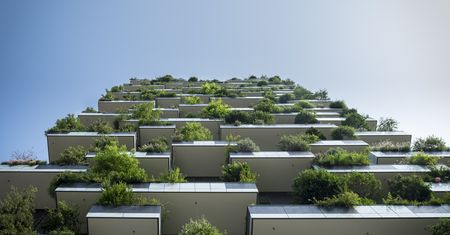 Katowice. Nasz mały skrawek zieleni, teraz możemy się nim pochwalić