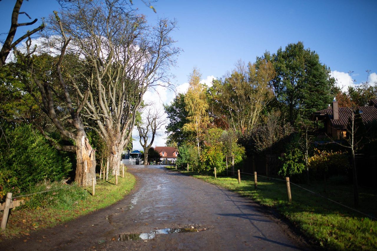Słupsk: Czy będzie przebudowa ulicy Lipowej? Mieszkańcy chcieliby lepszej nawierzchni