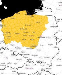 Pogoda. Atak zimy na północy. Ostrzeżenia IMGW dla połowy kraju