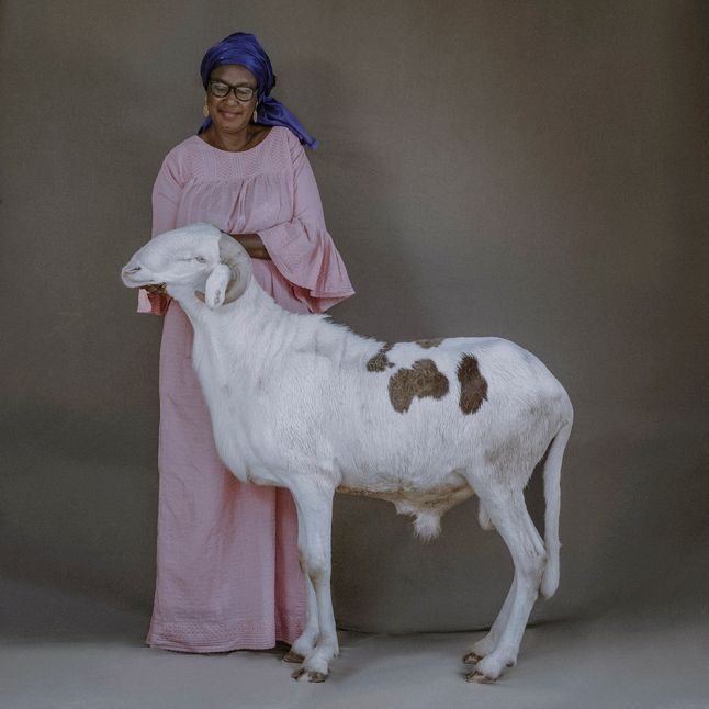 Madame Sow Fatoumata Ka z Amathem, dwuletnim baranem Ladoum, który mierzy 95 cm w kłębie i 183 cm długości.