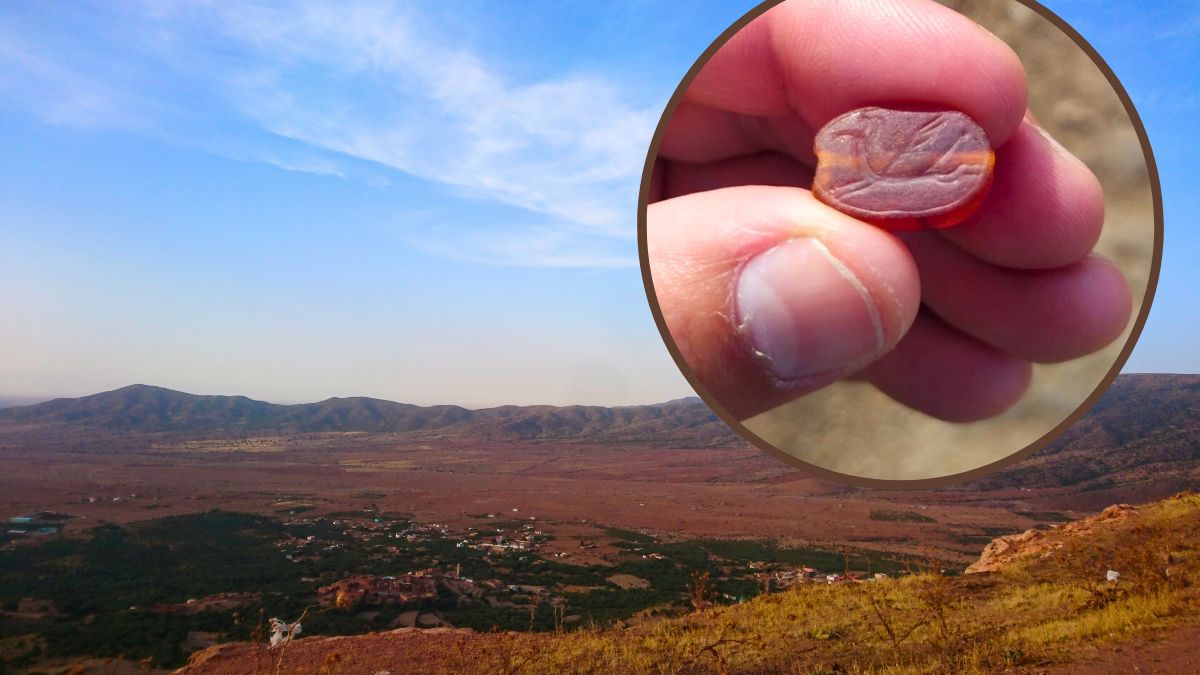 Skarabeusza znalazł izraelski turysta.