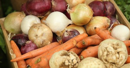 Miasto otwiera farmę. "Nawet 70 ton żywności rocznie"