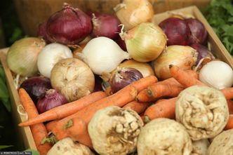 Miasto otwiera farmę. "Nawet 70 ton żywności rocznie"