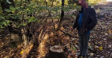 Mieszkaniec Bolkowa poszedł do lasu. Chciał "dorobić". Grozi mu 5 lat więzienia