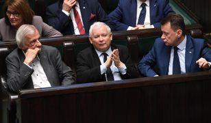 Polacy chętnie pójdą na wybory samorządowe. PiS zdecydowanym faworytem. Sondaż WP