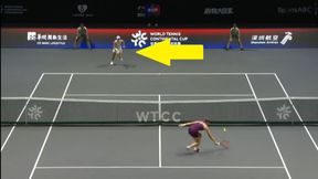 Zakończenie seta z pompą. W roli głównej Iga Świątek [WIDEO]