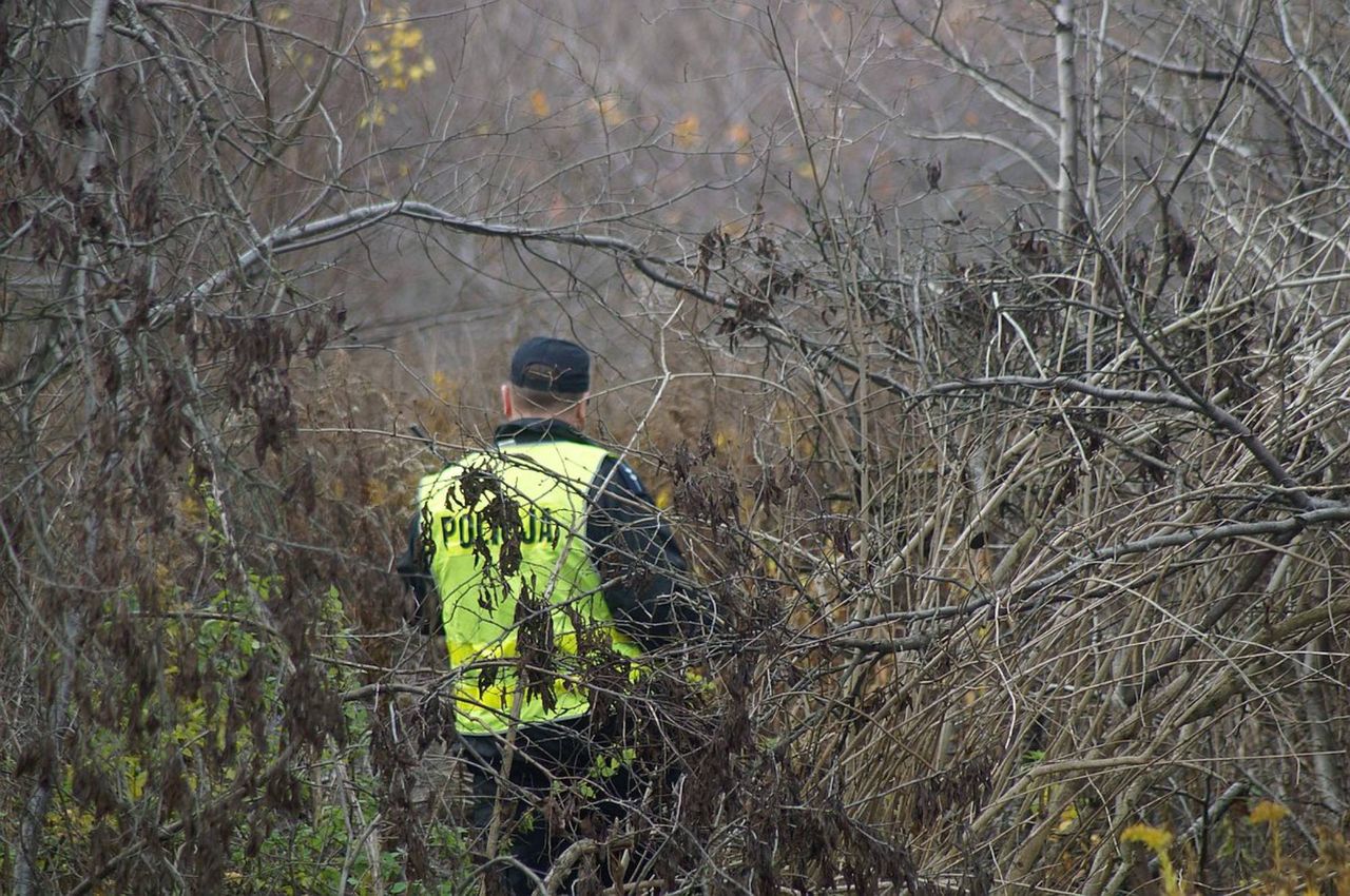 Poszukiwali zabytków, wykrywacz dał sygnał. W lesie, pod ziemią znaleźli ludzkie szczątki