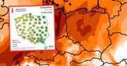 W Polsce padł rekord. Czegoś takiego nie było nigdy