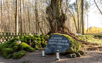 Cmentarz w głębi lasu pod Piłą. Pamiętają tu o osadzie, której nie ma