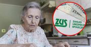 Emerytur z ZUS w listopadzie. Ważne informacje dla seniorów