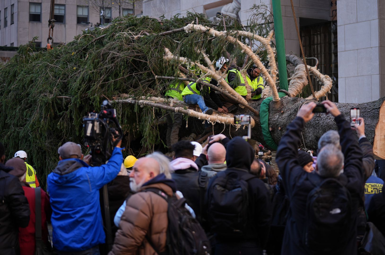 Na tę chwilę czekało wielu. Świąteczne drzewko już pod Rockefeller Center