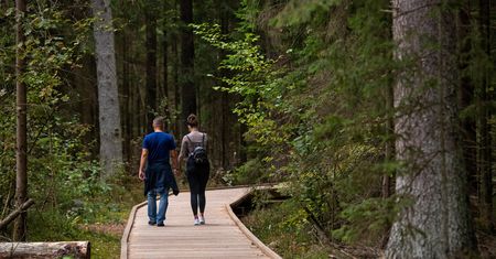 Podlaski Bon Turystyczny rozszedł się w dwie minuty. Turyści oburzeni
