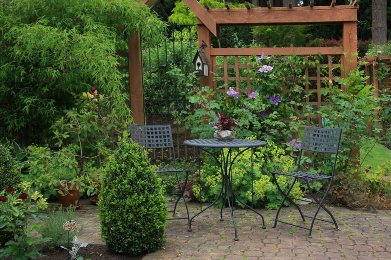 Zasady projektowania małych ogrodów - jakie wybrać rośliny i na co zwrócić uwagę