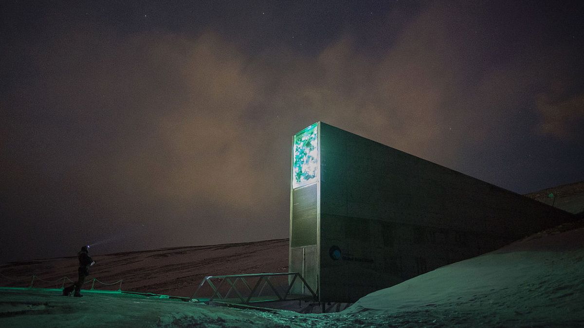 Aż 21 TB danych ukryto w arktycznym schronie /fot. Frode Ramone (Wikimedia Commons CC BY 2.0)