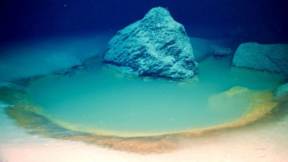 Basen solankowy odkryty przez ekspedycję OceanX