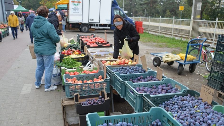 Owoce i warzywa na na placu targowym w Stalowej Woli