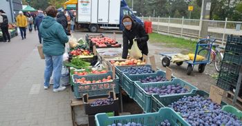 Stalowa Wola: Jesienny targ. Na straganach kolorowo od pomidorów, jabłek i śliwek