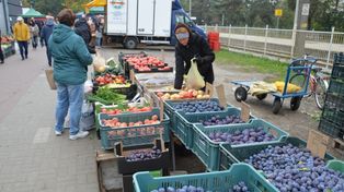 Stalowa Wola: Jesienny targ. Na straganach kolorowo od pomidorów, jabłek i śliwek